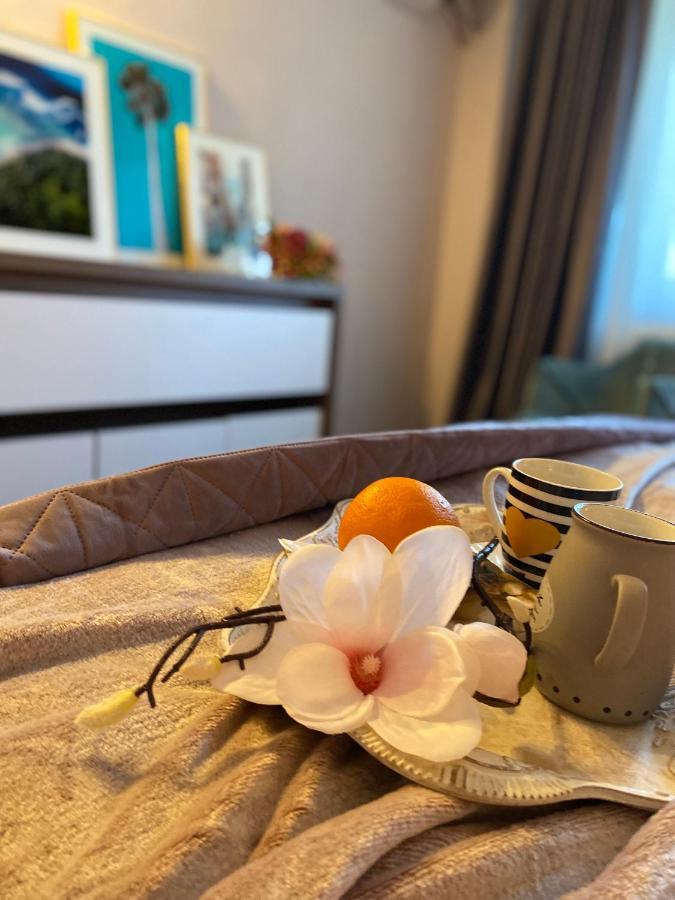 Victoriei Deluxe Suites Bukurešť Exteriér fotografie
